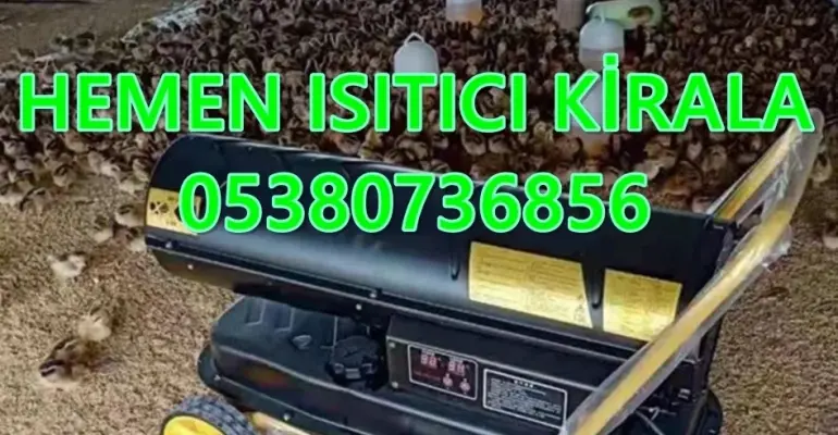 Islak nemli kurumayan Alçı Kurutma Nasıl Yapılır? Makinesi Nedir?